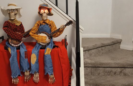 Animated Dueling Banjo Skeletons - Halloween A2ZBucket Review